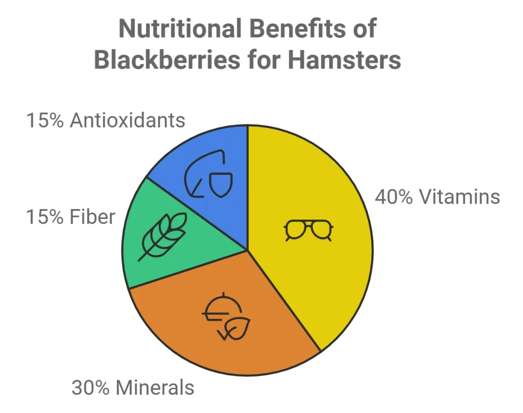 infographic of Nutritional Benefits of Blackberries for Hamsters