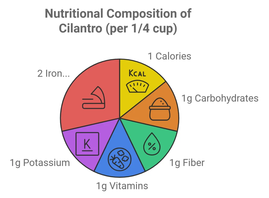 infographic of Nutritional Benefits of Cilantro for hamsters