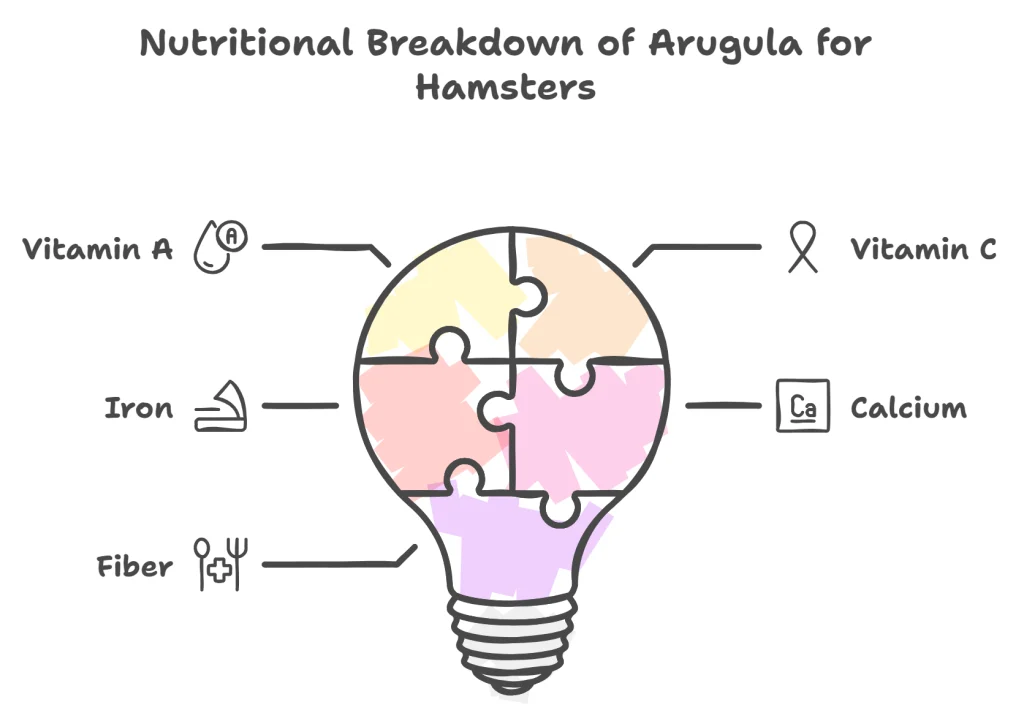 Nutritional Breakdown of Arugula for Hamsters