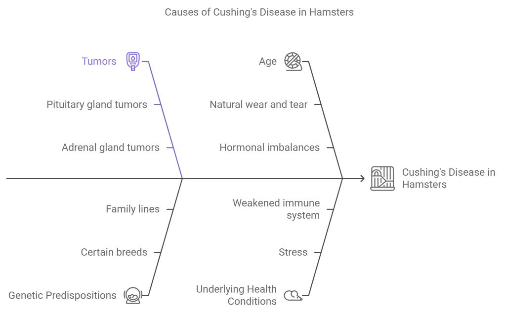 Causes of Cushing's Disease in Hamsters